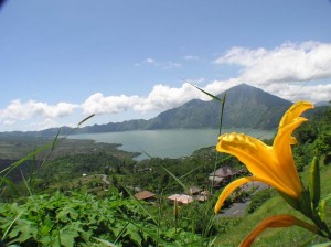 kintamani